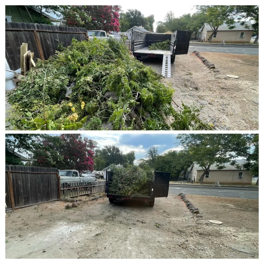 Yard waste being cleared